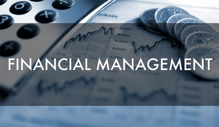 Financial Management Its Definition Meaning And Objectives